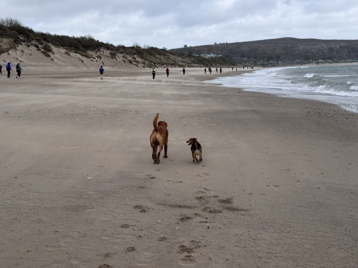 Sydney and Dexter watching runners stream past on the beach